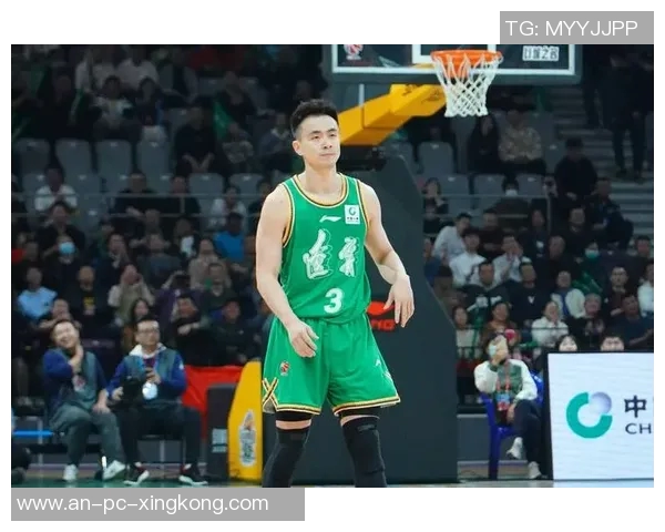 赵继伟：从青涩新星到篮球场上的领军人物的成长之路与辉煌成就